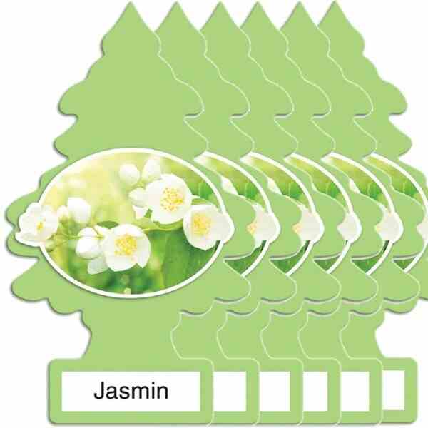20PCS Jasmin